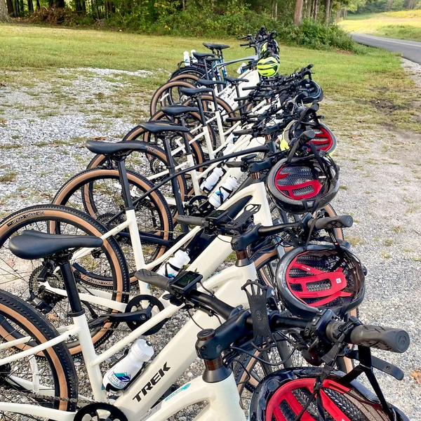 Rental eBikes